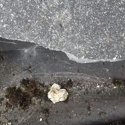 Roof damage: is it better to repair or replace?
