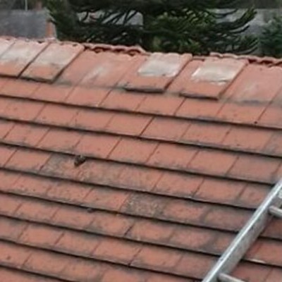 Will My New Roof Last a Lifetime?