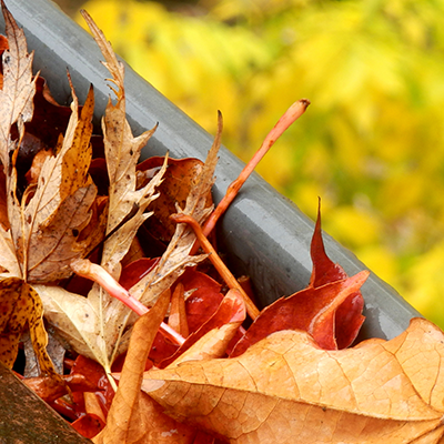 What Causes blocked Gutters?