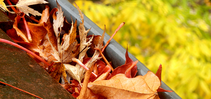 What Causes blocked Gutters?