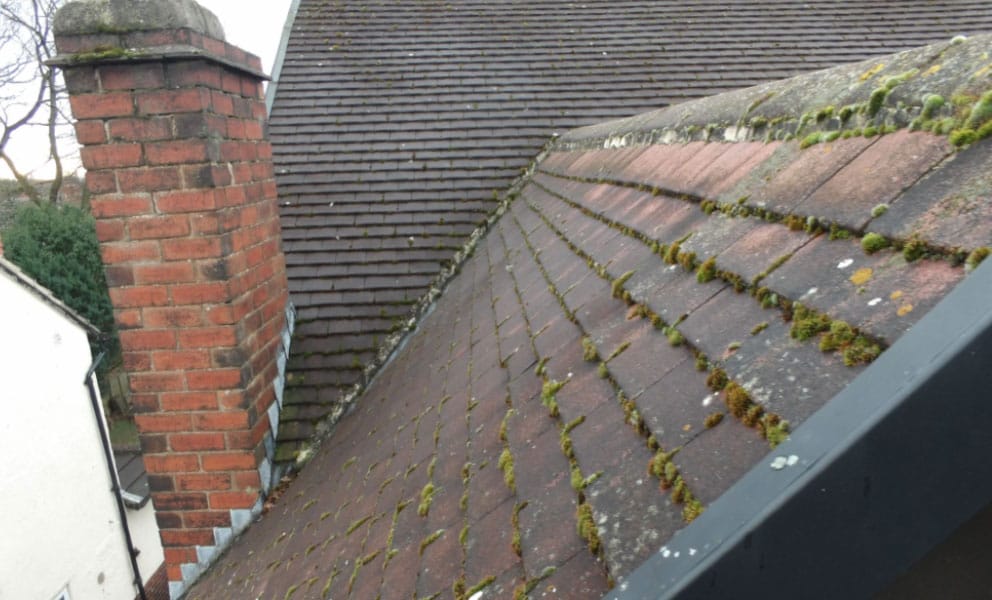 7 Simple Tips To Make Your Roof Last Longer
